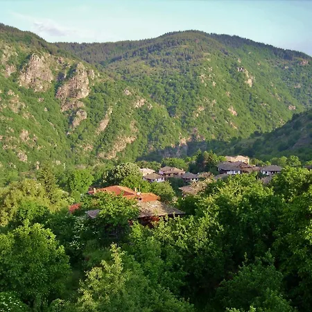 Family Byalata Kashta Πανσιόν 3*